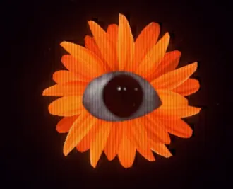 Flower Eye, a single large eyeball set in the middle of an orange flower