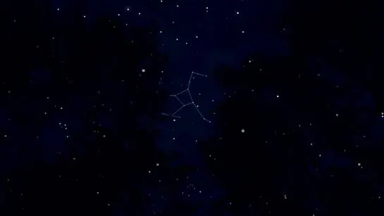 A constellation traced in the Greenhouse night sky